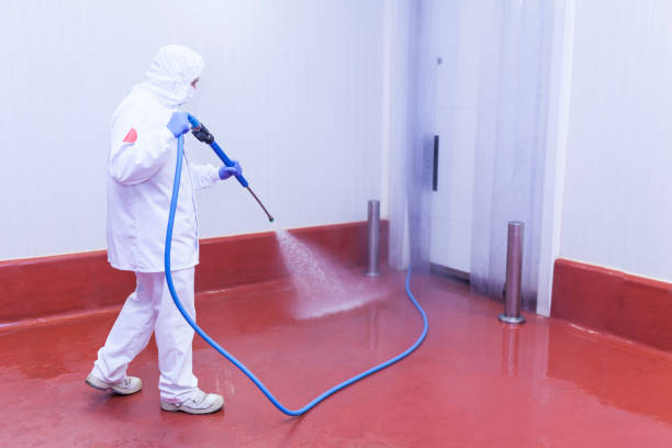 Best Patio and Deck Pressure Washing  in Schaumburg, IL
